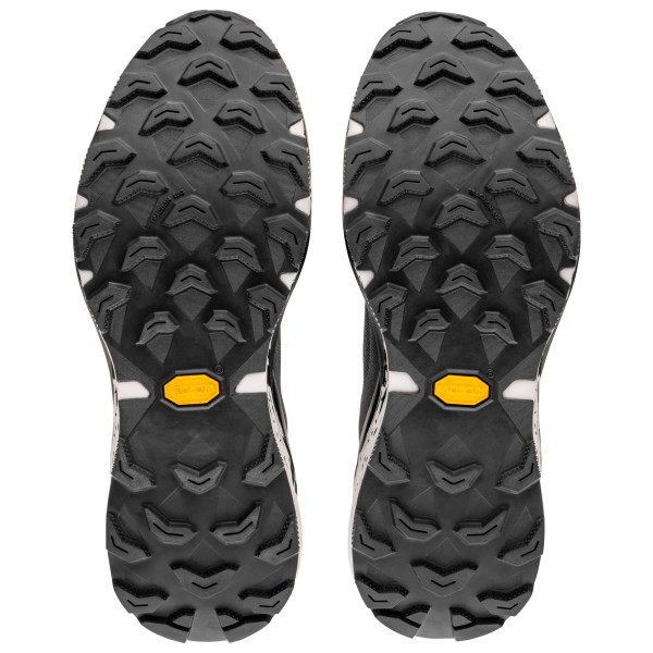 Dynafit - Ultra 100 V3 GTX - Trailrunningschuhe