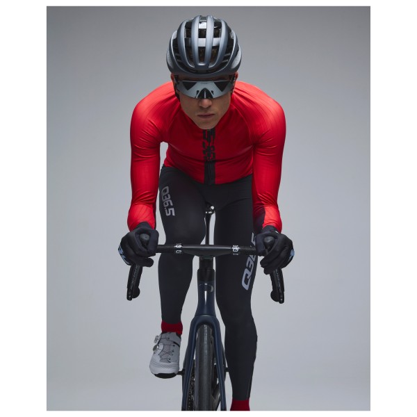 Q36.5 - Gregarius Hybrid Racing Car L/S Jersey - Cycling jersey