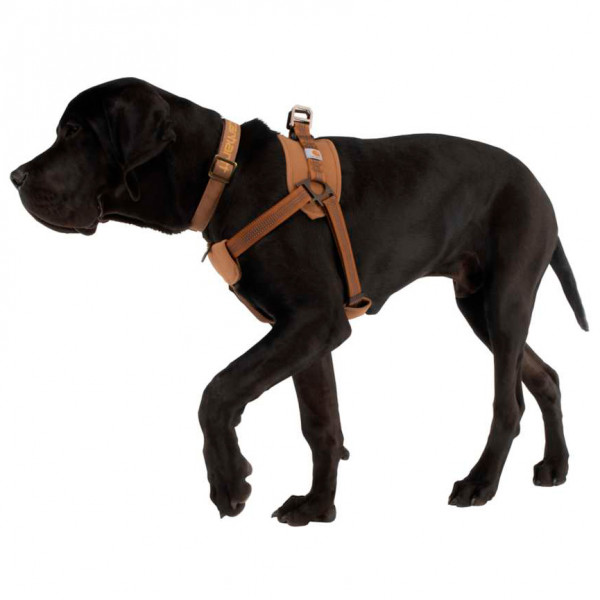 Carhartt - Training Harness - Hondentuig
