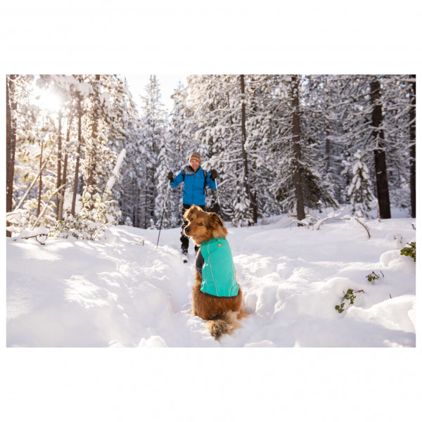 Ruffwear - Cloud Chaser Soft Shell Jacket - Abrigos para perro