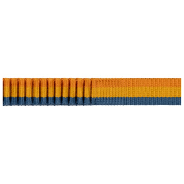 Ruffwear - Roamer Leash - Hondenleiband