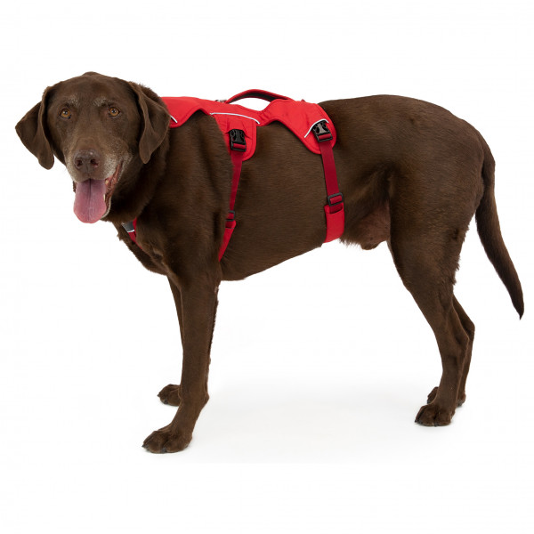 Ruffwear - Web Master Harness - Seletøj til hunde
