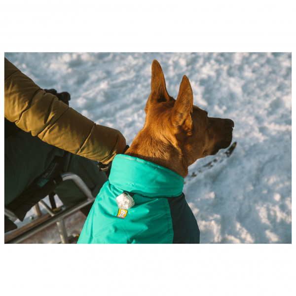 Ruffwear - Vert Jacket - Hondenjas