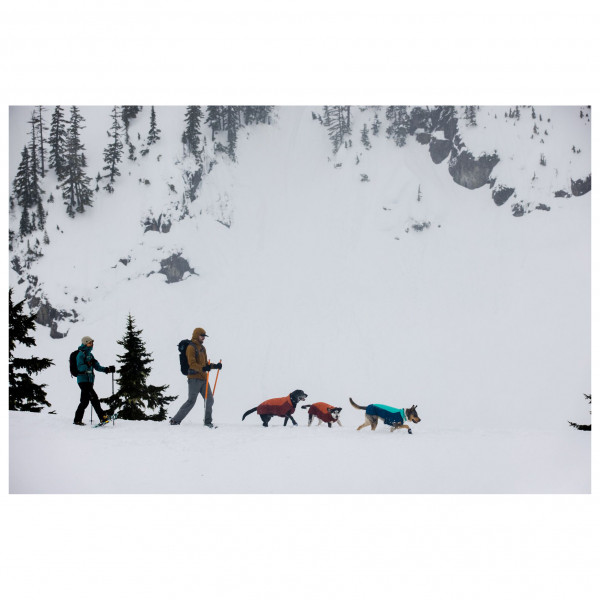 Ruffwear - Vert Jacket - Hundefrakker