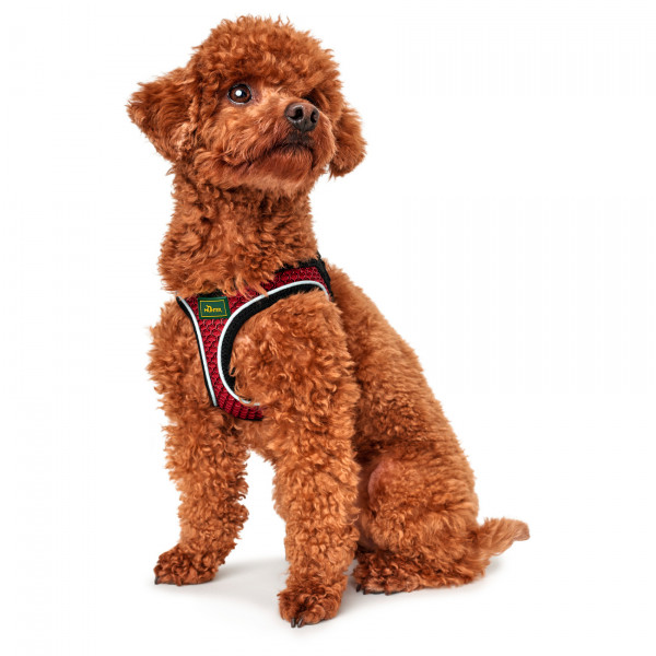 Hunter - Harness Hilo Comfort - Hondenharnas