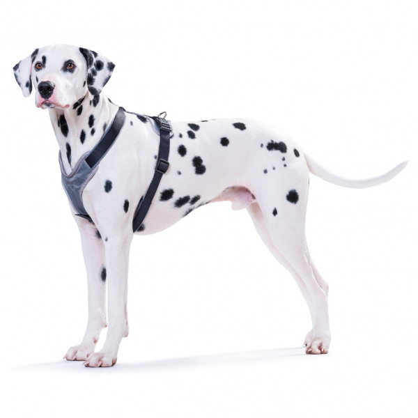 Hunter - Harness Neoprene - Hondenharnas