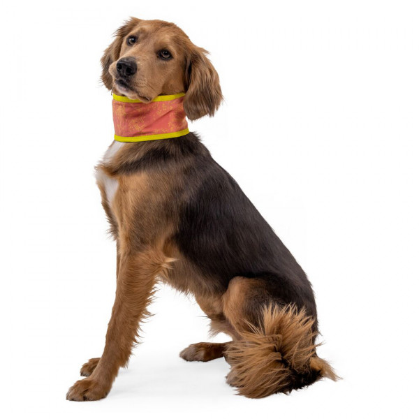 Ruffwear - Swamp Cooler Neck Gaiter - Hondenspullen