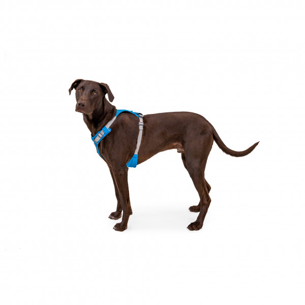Ruffwear - Hi & Light Harness - Hondenharnas