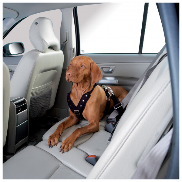 Hunter - Harness Car Safety Easy Comfort - Hondenharnas