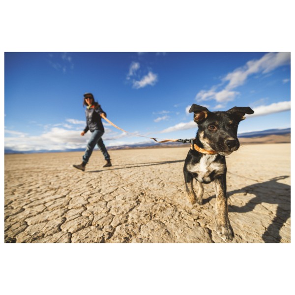Ruffwear - Crag Collar - Hondenhalsband