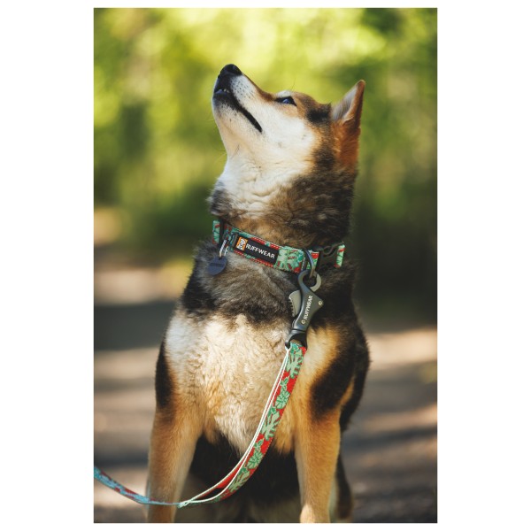 Ruffwear - Crag Leash - Correa para perro