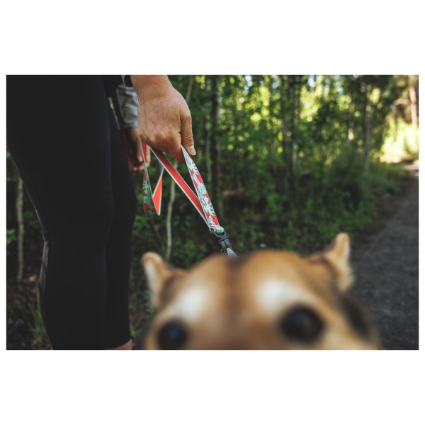 Ruffwear - Crag Leash - Hondenriem
