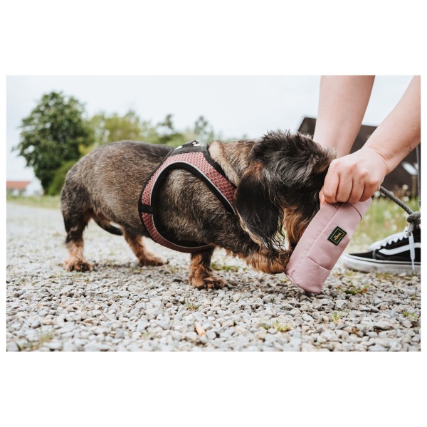 Hunter - Dummy Trainer Snack with Rope - Accessori per cani