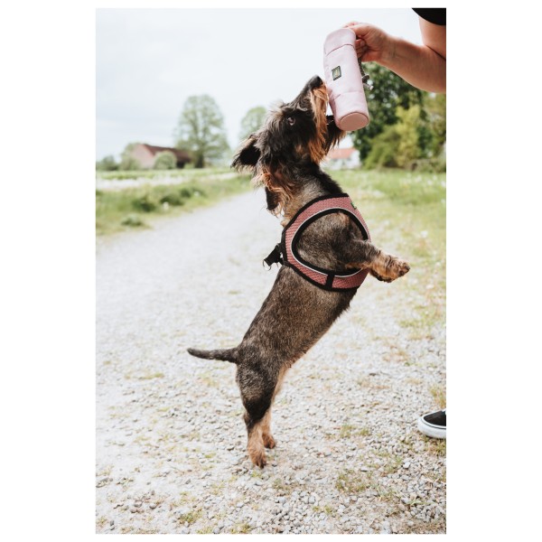 Hunter - Dummy Trainer Snack with Rope - Dog accessories