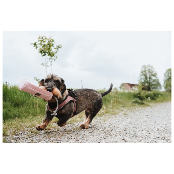 Hunter - Dummy Trainer Snack with Rope - Koiratarvikkeet