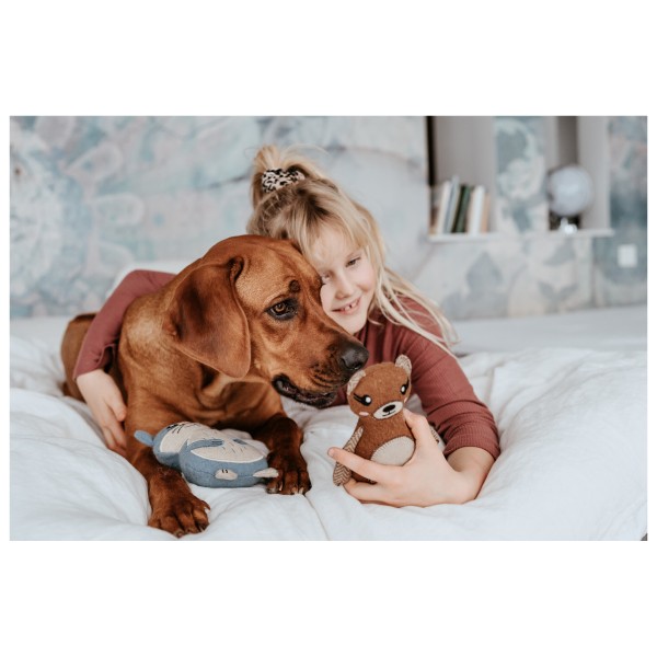 Hunter - Fyn Bear Dog Toy - Koiratarvikkeet