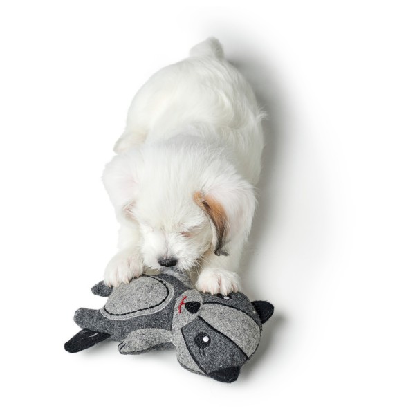 Hunter - Fyn Badger Dog Toy - Accessori per cani