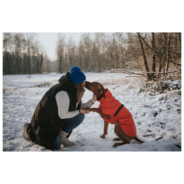 Hunter - Nordby Coat - Abrigos para perro