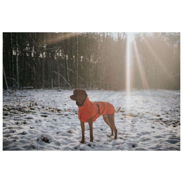 Hunter - Nordby Coat - Hundefrakker