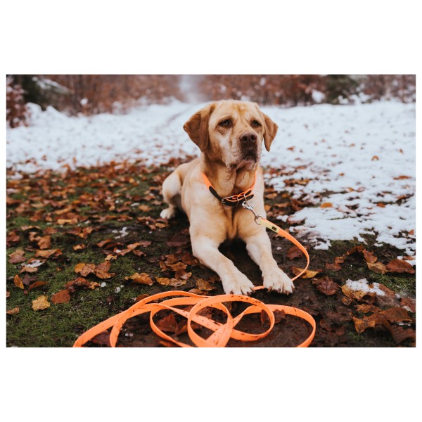 Hunter - Convenience Retrieval Leash - Dog leash