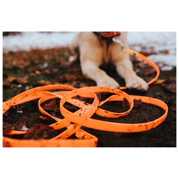 Hunter - Convenience Retrieval Leash - Koiran hihnat