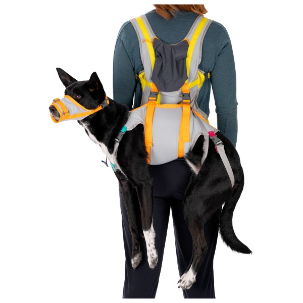 Ruffwear - BackTrak Dog Evacuation Kit - Dog accessories