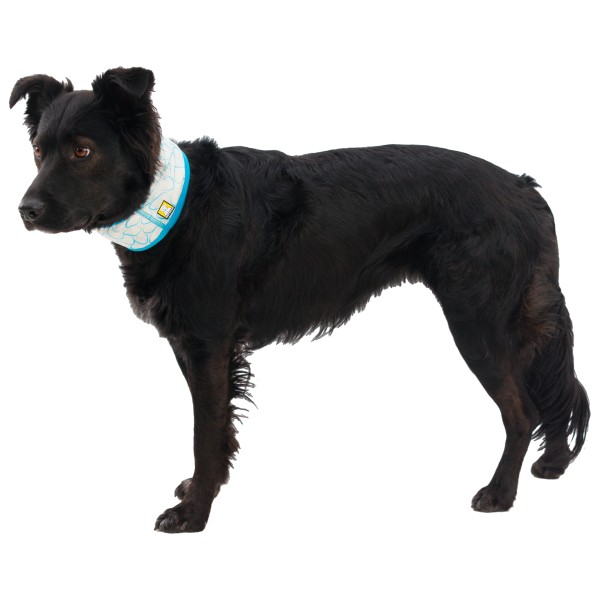Ruffwear - Swamp Cooler Neck Gaiter - Hondenspullen