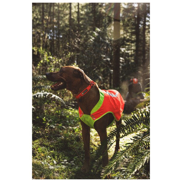 Ruffwear - Lumenglow High-Vis Vest - Dog coat