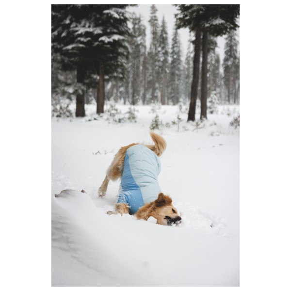 Ruffwear - Powder Hound Waterproof Insulated Jacket - Abrigos para perro