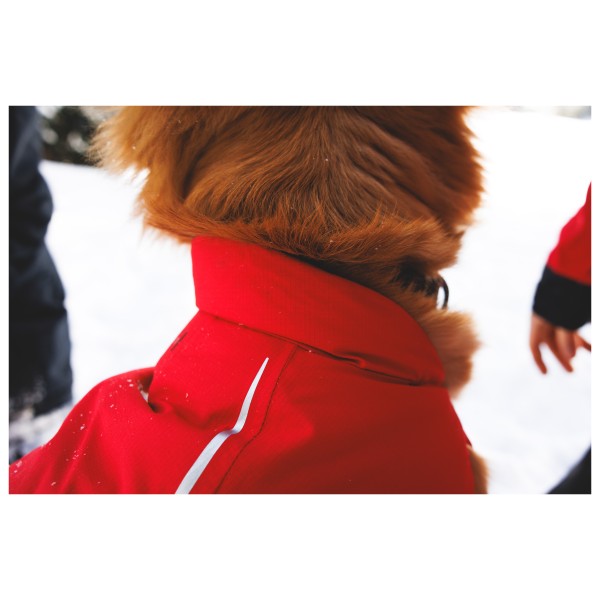 Ruffwear - Powder Hound Waterproof Insulated Vest - Dog coat