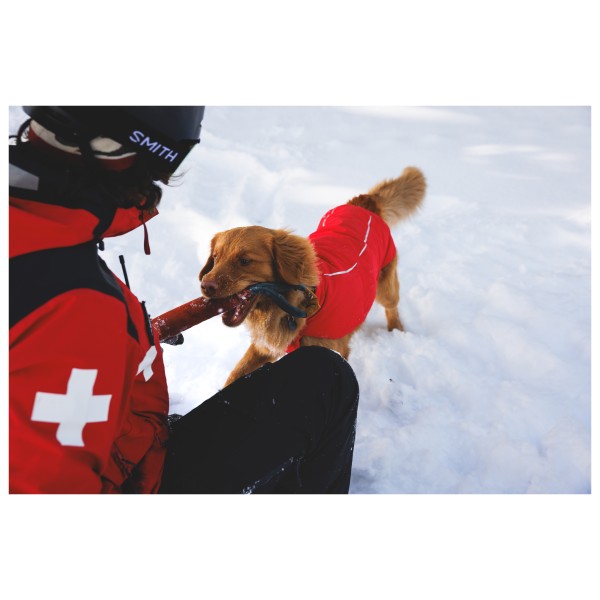 Ruffwear - Powder Hound Waterproof Insulated Vest - Dog coat