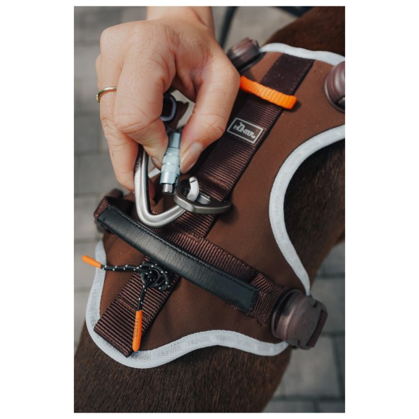 Hunter - Action ErgoMove Pro 20/230 - Dog leash