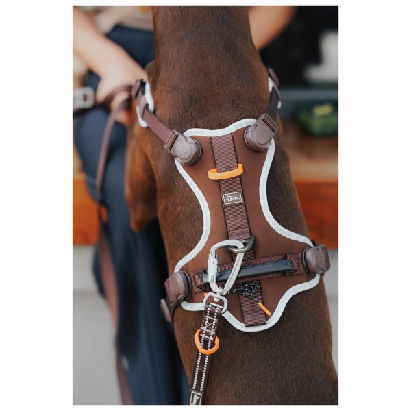 Hunter - Action ErgoMove Pro 20/230 - Dog leash
