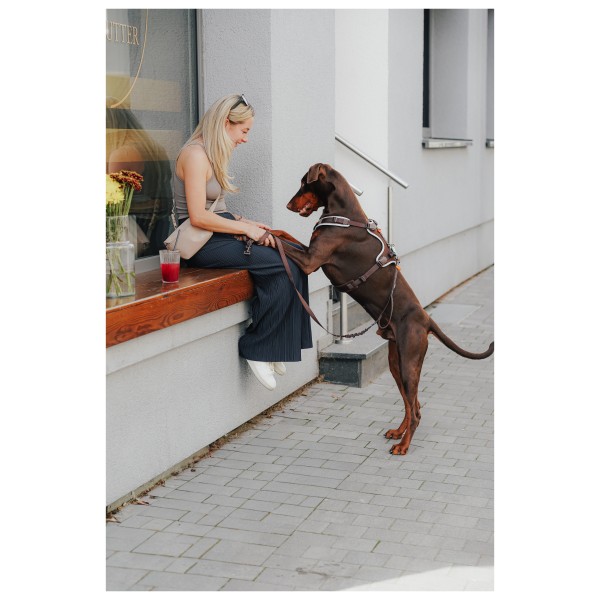 Hunter - Action ErgoMove Pro 20/230 - Hondenriem