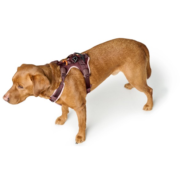 Hunter - ErgoMove Pro - Hundselar