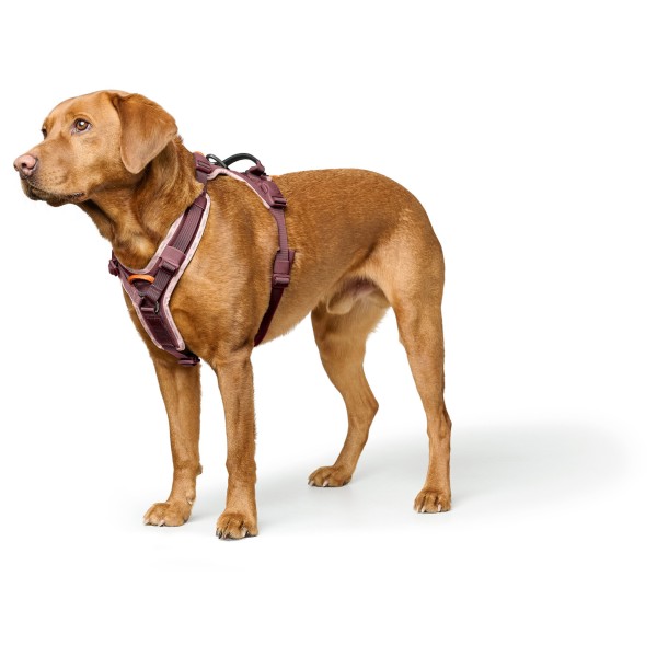 Hunter - ErgoMove Pro - Imbracatura per cani