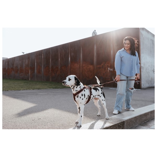 Hunter - ErgoMove Pro - Imbracatura per cani