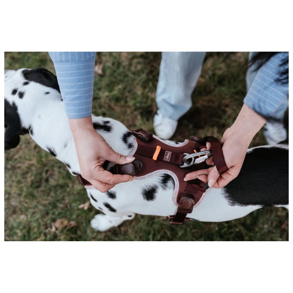 Hunter - ErgoMove Pro - Imbracatura per cani