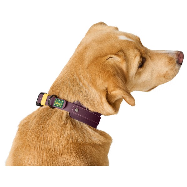 Hunter - Halsband Havanna - Hundehalsbånd