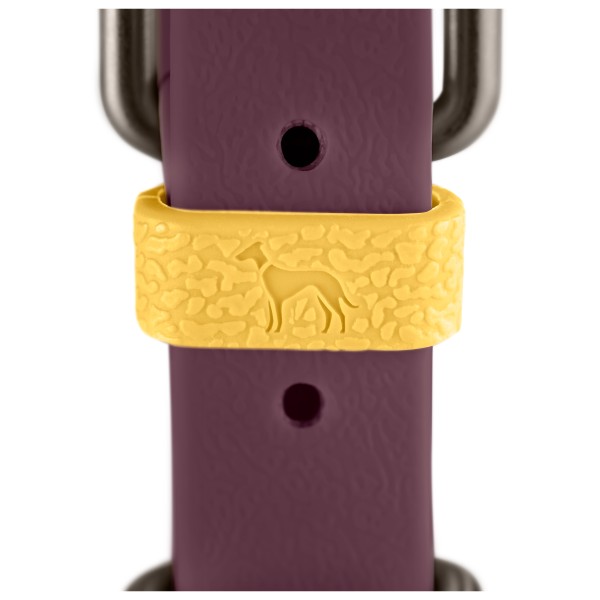 Hunter - Halsband Havanna - Hundehalsbånd