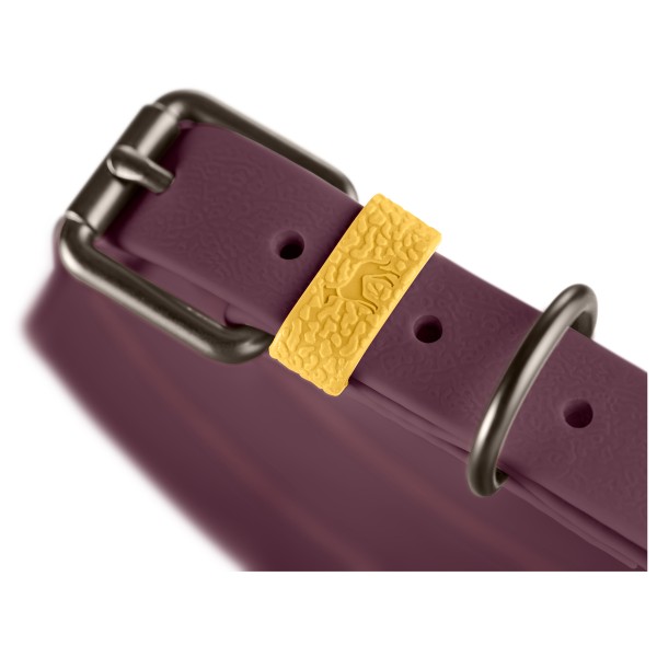 Hunter - Halsband Havanna - Hundehalsband