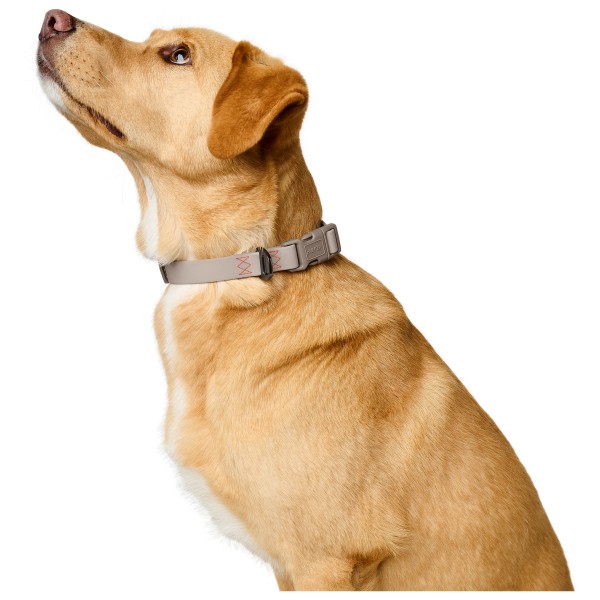 Hunter - Halsung Havanna - Hundehalsbånd