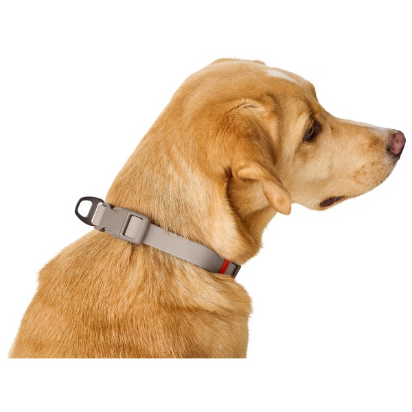Hunter - Halsung Havanna - Hundehalsbånd