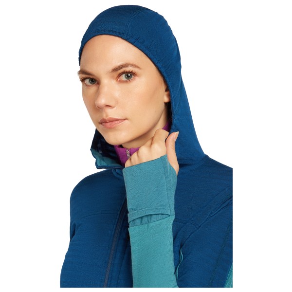 Icebreaker - Women's Merino Blend 300 Realfleece Descender - Merinowollen vest