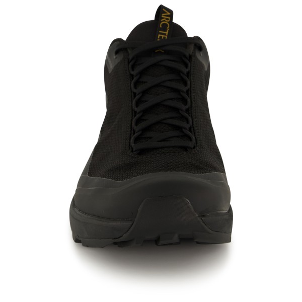 Arc'teryx - Women's Aerios FL 2 GTX - Multisport shoes