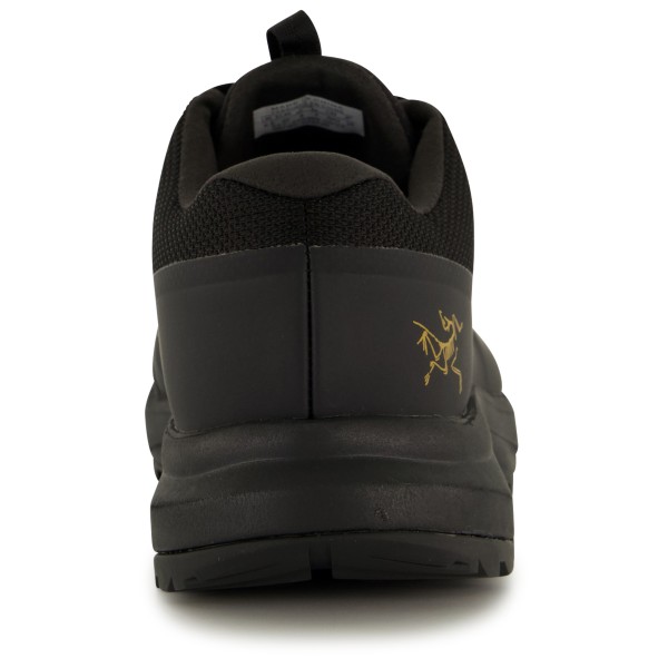 Arc'teryx - Women's Aerios FL 2 GTX - Multisport shoes