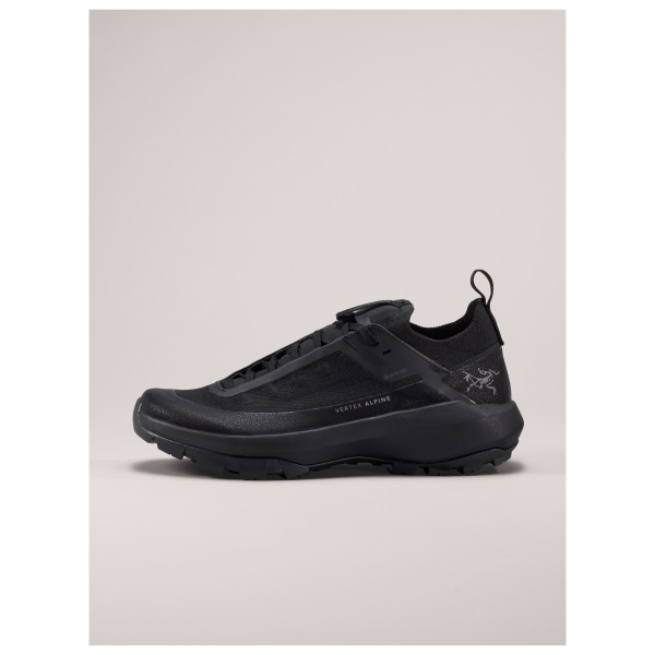 Arc'teryx - Women's Vertex Alpine GTX - Approachsko
