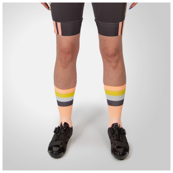 Endura - Bandwidth Streifensocken - Velosocken