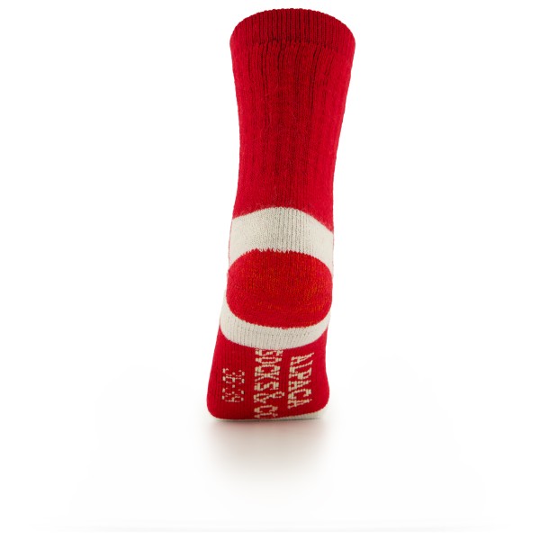 Alpacasocks&Co - Alpacasocks 3-Pack - Talviretkeilysukat