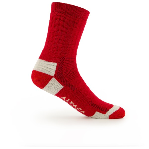 Alpacasocks&Co - Alpacasocks 3-Pack - Talviretkeilysukat